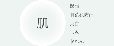 肌