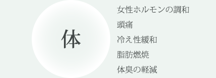体