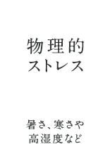 物理的ストレス
