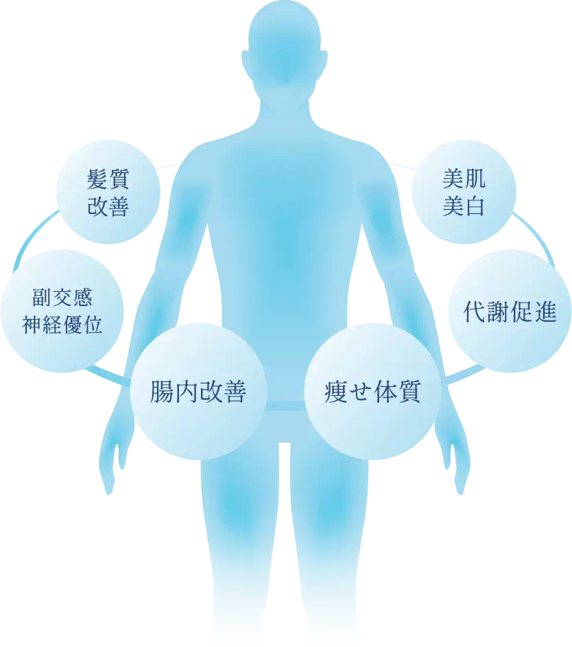 髪質改善、副交感神経優位、腸内改善、痩せ体質、代謝促進、美肌美白